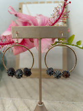 Load image into Gallery viewer, ‘Opihi Hoop Earrings