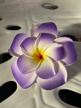 Load image into Gallery viewer, Double Plumeria Hair Clips