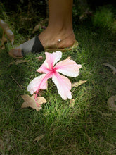 Load image into Gallery viewer, Edison pearl anklet