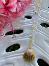 Load image into Gallery viewer, Sunrise Shell Necklace