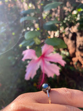 Load image into Gallery viewer, Floating Tahitian Pearl Ring