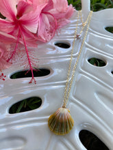 Load image into Gallery viewer, Sunrise Shell Necklace