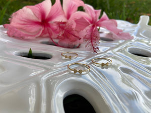 Pu’uwai Rings