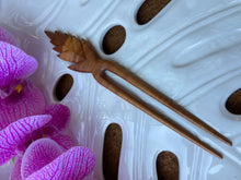 Load image into Gallery viewer, Torch Ginger