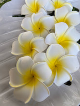 Load image into Gallery viewer, Plumeria Hair Clips (White)