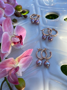 Bella Hoop Earrings ~ Rose Gold