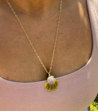 Load image into Gallery viewer, Sunrise Shell Necklace