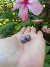 Load image into Gallery viewer, Premium Edison Pearl Stud Earrings