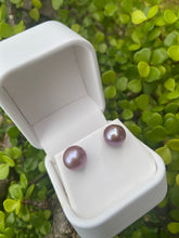 Load image into Gallery viewer, Lush Edison Pearl Stud Earrings