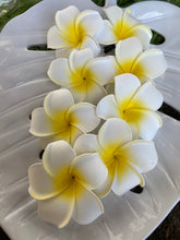 Load image into Gallery viewer, Plumeria Hair Clips (White)