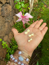 Load image into Gallery viewer, Pikake stud earrings