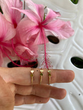 Load image into Gallery viewer, Pu’uwai Rings