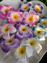 Load image into Gallery viewer, Double Plumeria Hair Clips
