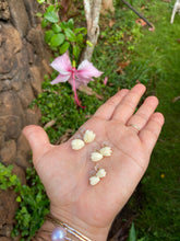 Load image into Gallery viewer, Pikake stud earrings